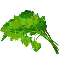 手绘-美食元素贴纸-芹菜