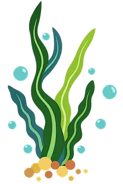 常规内容-植物系列卡通风海草
