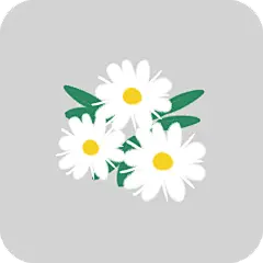 清新菊花花朵