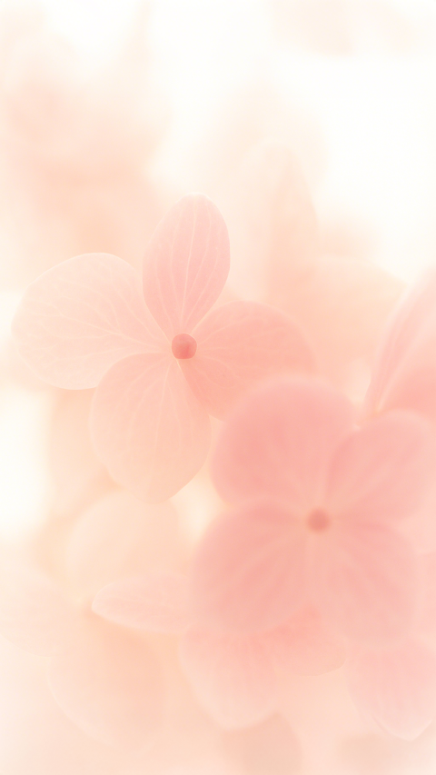 背景系列手绘粉色花朵背景_美女壁纸锁屏