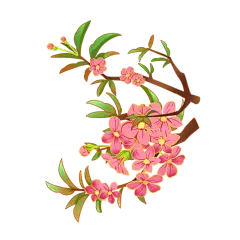 手绘春天桃花元素贴纸