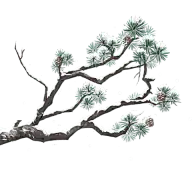 冬天冬季冬日积雪树枝植物元素