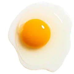 美食系列写实煎蛋未熟元素