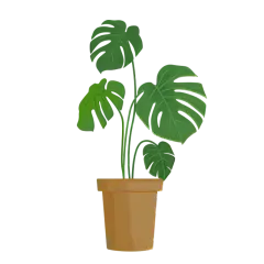 卡通感金融行业植物元素