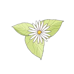 可爱清新花卉插画元素贴纸