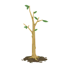 卡通感植树节树苗元素贴纸