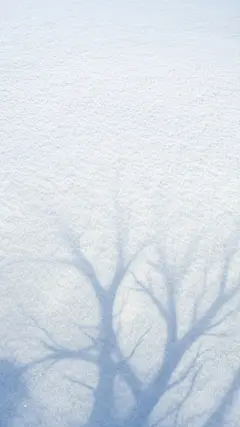 冬季节气简约雪地投影背景