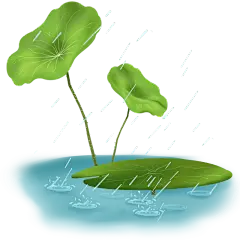 雨水节气贴纸