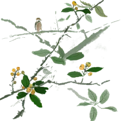 手绘-中国风水墨风植物贴纸-树枝