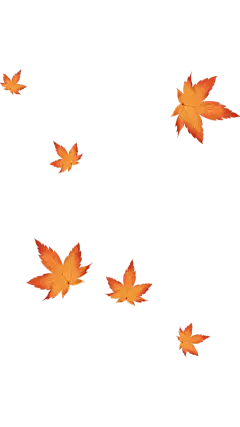 植物系列手绘肌理感枫叶叶片飘落元素