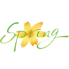 立春&春天简约细线体英文艺术字