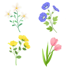 小清新花朵插画元素