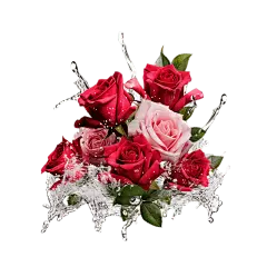 浪漫冰冻粉红色玫瑰花