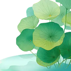 夏季节气清新感荷叶莲蓬池塘插画元素
