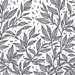 常规内容-植物系列黑色手绘风植物叶子线稿