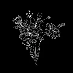 植物系列手绘线描花卉花藤元素