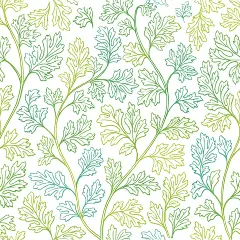 常规内容-植物系列插画风花卉植物线稿元素组合