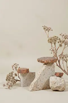 常规内容-背景系列新中式感大理石块展台+植物枝条背景