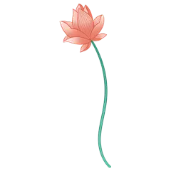 荷花粉色中国风中秋节元素贴纸