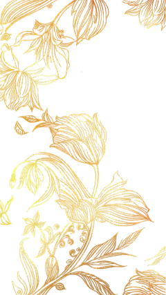 纹理通用烫金花纹花卉元素素材