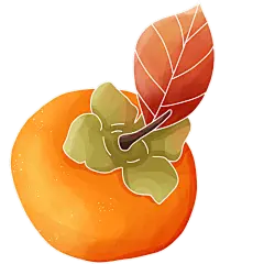 霜降通用描边柿子元素植物贴纸