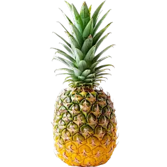insMind Elements Accessories Fruits
