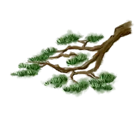 手绘-重阳节-水墨重阳节-青松