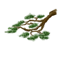 手绘-重阳节-水墨重阳节-青松