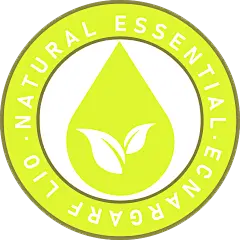 常规内容-图标系列扁平风美容美妆美甲自然可持续标志图标元素