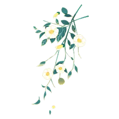中国风金边插画-花枝