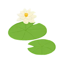 手绘莲花元素贴纸