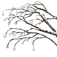 冬天冬季冬日积雪树枝植物元素