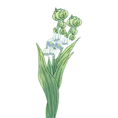 手绘-水彩花卉植物贴纸3