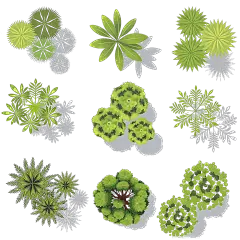 常规内容-植物系列插画风树叶叶子印章组合元素
