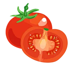 矢量-蔬菜美食元素贴纸-SVG-番茄