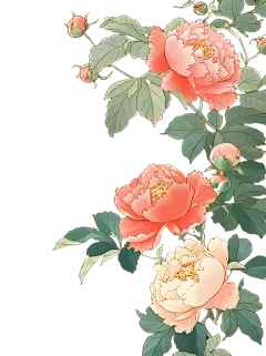 植物系列插画风花朵+花枝下垂元素