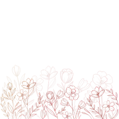 简约小花花朵花卉边框元素