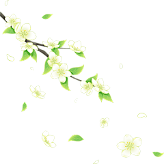 春天清新感渐变梨花插画元素