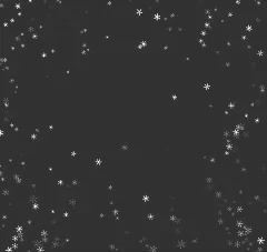 常规内容-特效系列雪花雪点飘落元素贴纸
