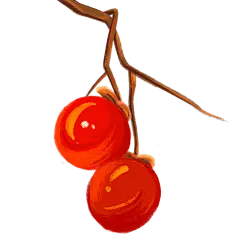 手绘-重阳节元素贴纸-樱桃