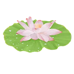 手绘-夏天季节元素贴纸svg-荷花
