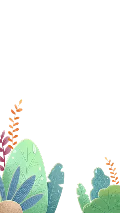 传统节气寒露植物边框