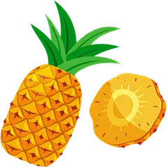 常规果蔬系列通用插画水果切件元素素材