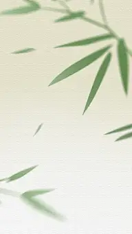 立春&春天光影感树枝布纹肌理组合背景