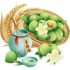 芒种通用插画风青梅美食大尺寸元素素材