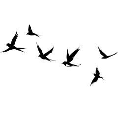 通用插画鸽子燕子动物单色剪影贴纸元素素材