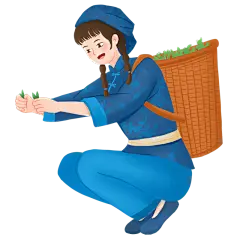 手绘采茶女人物插画6