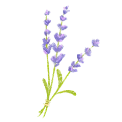 手绘-氛围花朵贴纸3-薰衣草