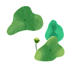卡通感端午节荷叶元素贴纸