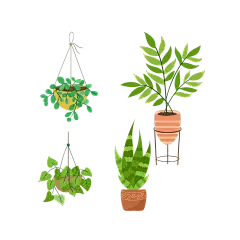 春天绿色手绘盆栽植物元素